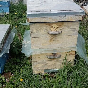 Продам улик для пчел