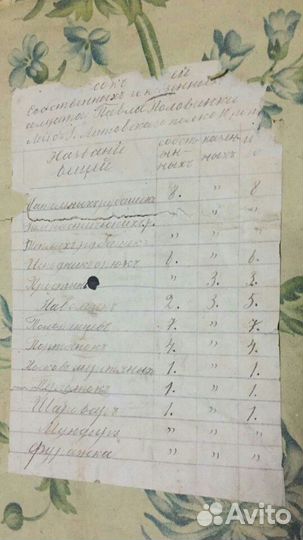 Сундук знаменитого солдата Павла Половинки