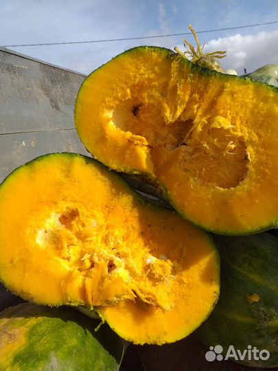 Тыква разных сортов