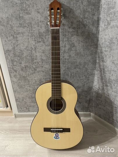 Гитара cort ac100 sg