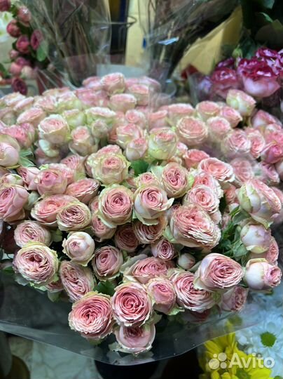 Пионовидные кустовые розы