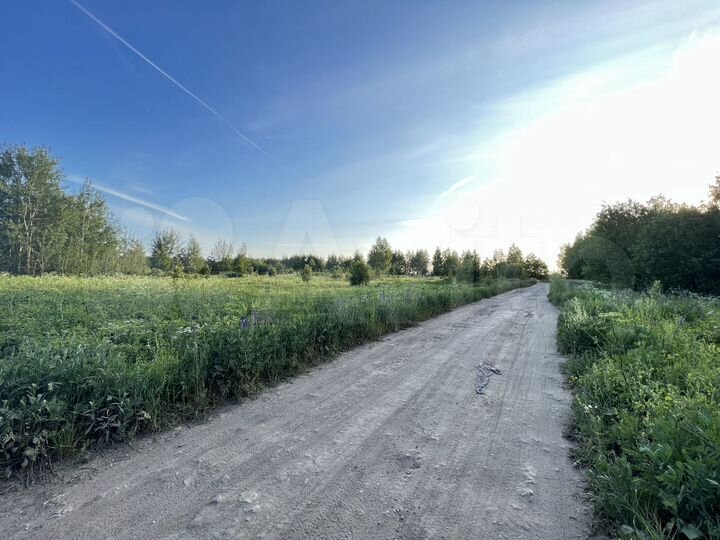 Участок 13,6 сот. (СНТ, ДНП)