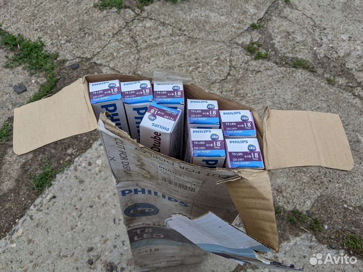 Лампа светодиодная Phillips T8