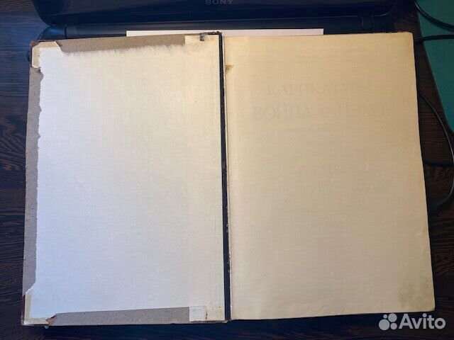 Карикатуры 