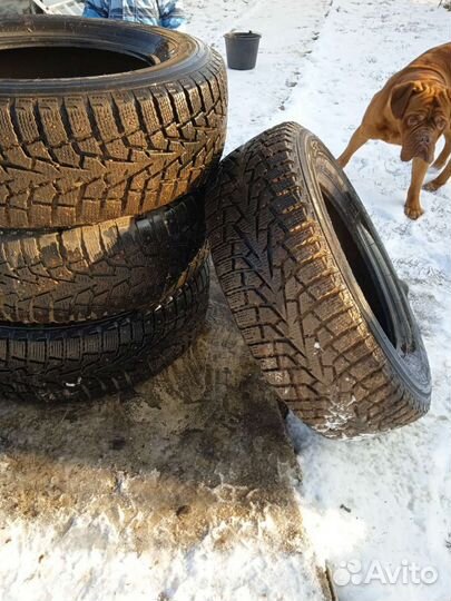 Maxxis ArcticTrekker NS3 245/65 R17 111T