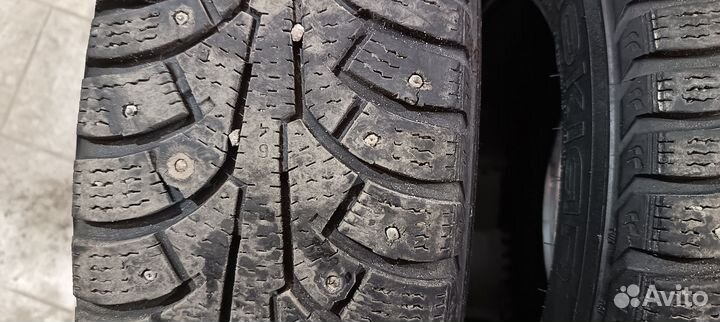 Nokian Tyres Hakkapeliitta 5 175/65 R14