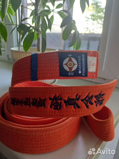 Пояс для единоборств