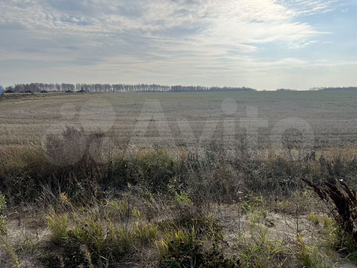 Участок 9 сот. (СНТ, ДНП)