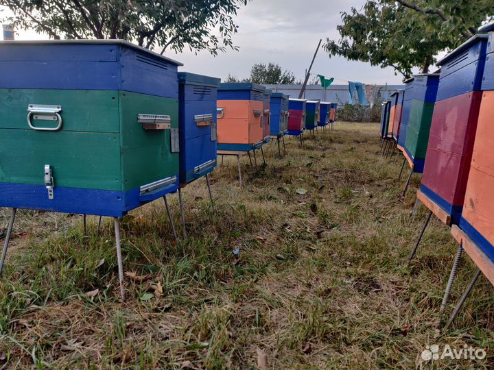 Подставки под ульи для пчел