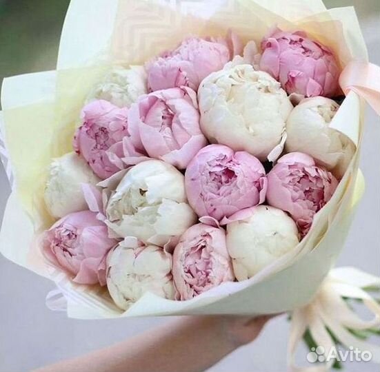 Пионы Букет пионов Доставка цветов