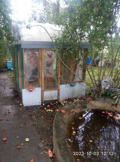 Дом 57 м² на участке 9 сот.