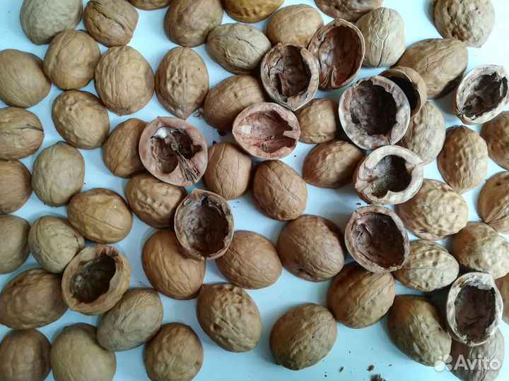 Пластиковые крышки от бутылок