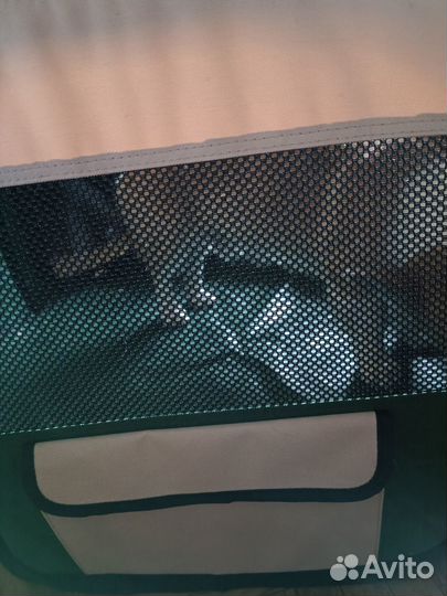 Вольер-тент для собак