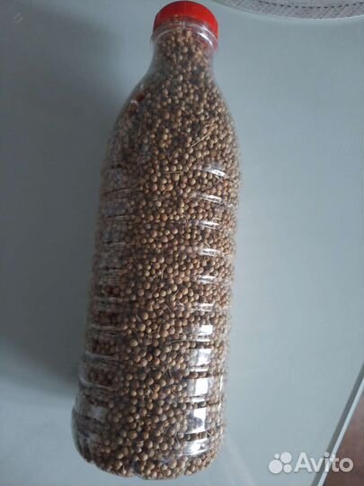 Семена кориандра