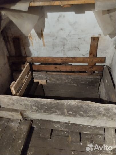 Погреб ячейка в обществе 