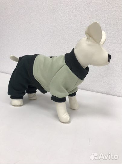 Комбинезон для собаки