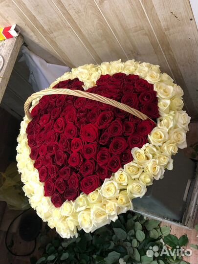 101 Роза Цветы Пионы