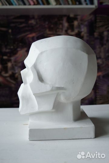 Череп обобщённых плоскостей (гипс)