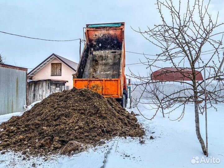 Навоз коровий