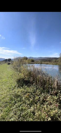 Участок 37 сот. (ИЖС)