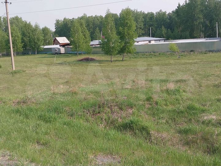 Участок 10,5 сот. (СНТ, ДНП)