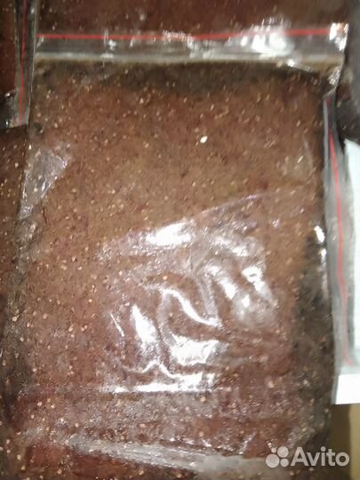 Артемия замороженная