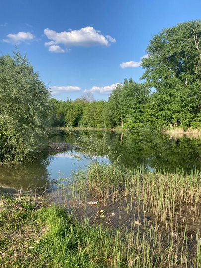 Участок 1,29 га (ИЖС)