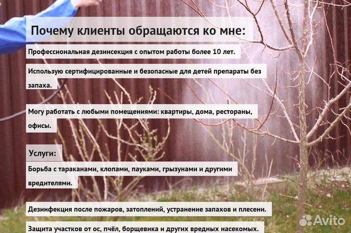 Средство против тараканов