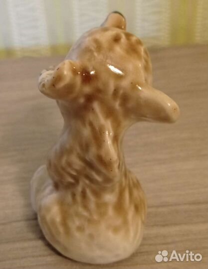 Ревущий медвежонок лфз