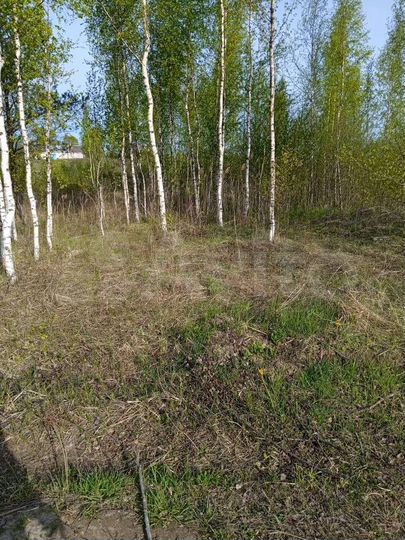 Участок 12 сот. (ИЖС)