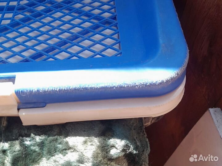 Лоток для маленьких собак