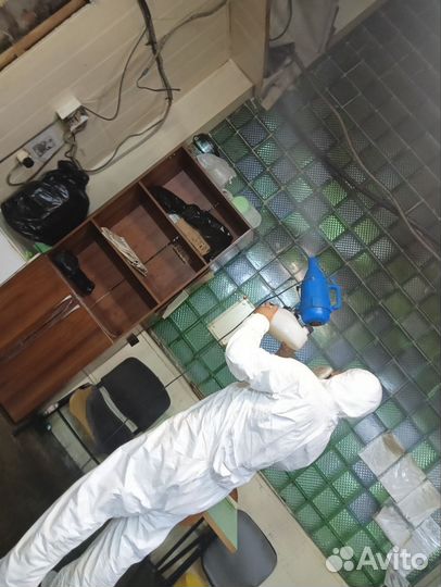 Уничтожение тараканов, клопов, и т.д