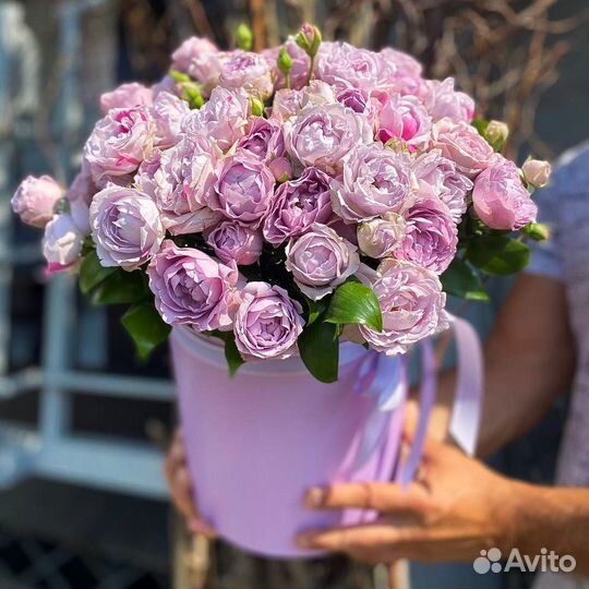 Цветы / Розы 25 51 101 / Букеты с доставкой