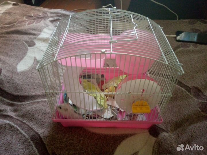 Хомяк с клеткой