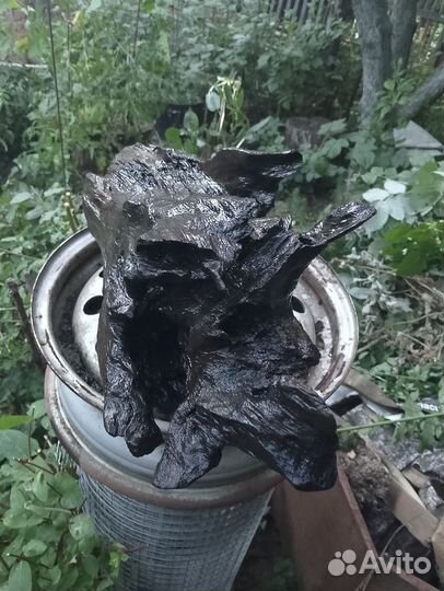 Коряга в аквариум большая