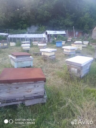 Ульи для пчел