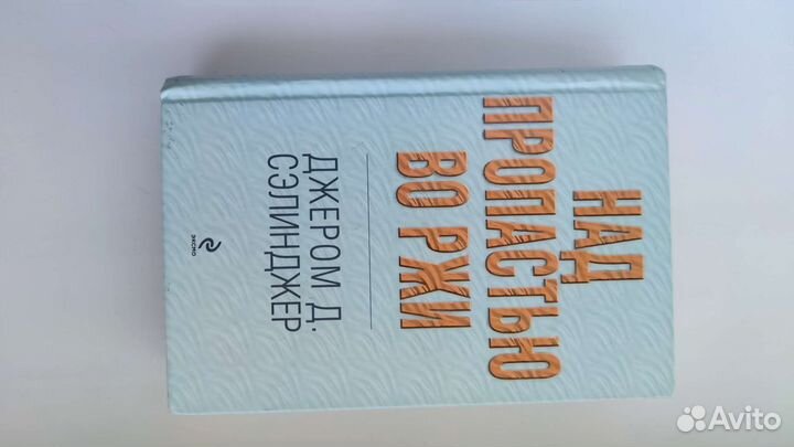 Над пропастью во ржи (Сэлинджер)