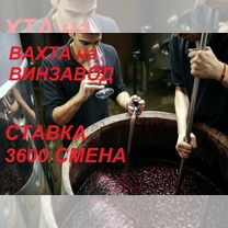 Мойщик в цех обработки виноматериалов Вахта