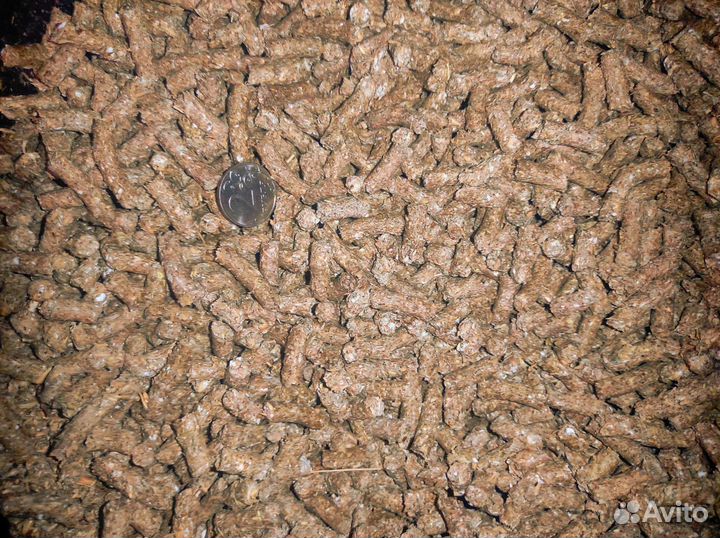 Корма для сельскохозяйственных животных