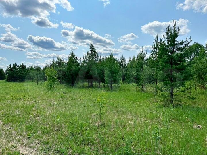 Участок 100 сот. (ИЖС)