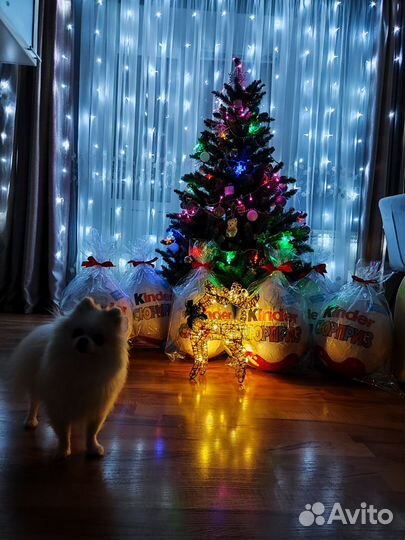 Подарочный бокс Kinder surprise