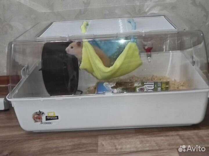 Клетка для грызунов ferplast дюна