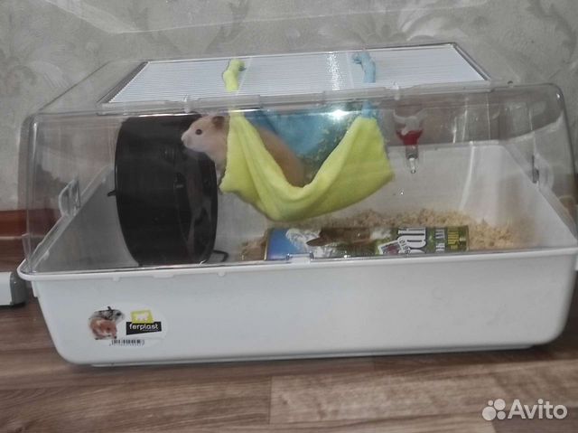 Клетка для грызунов ferplast дюна