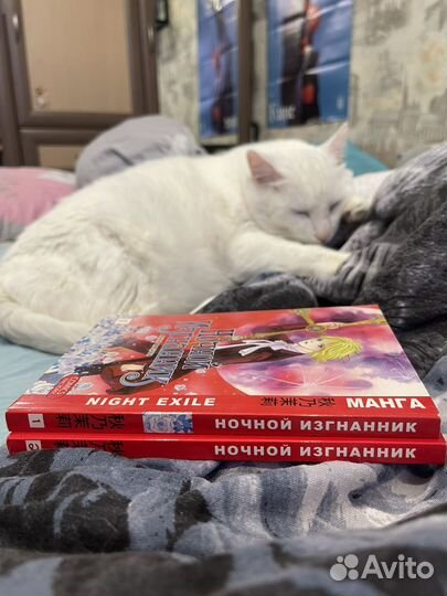 Манга «Ночной изгнанник» 1/2 тома