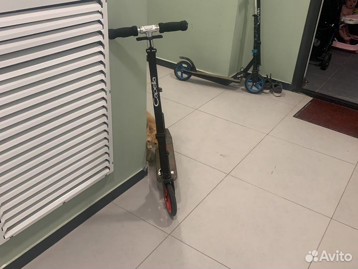 Самокат детский двухколесный бу