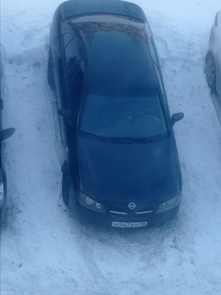 Nissan Almera: фото владельца