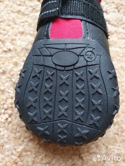 Обувь для собак, размер 4