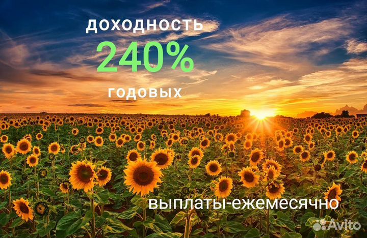 Инвестиции в готовый бизнес, партнёрство, займ