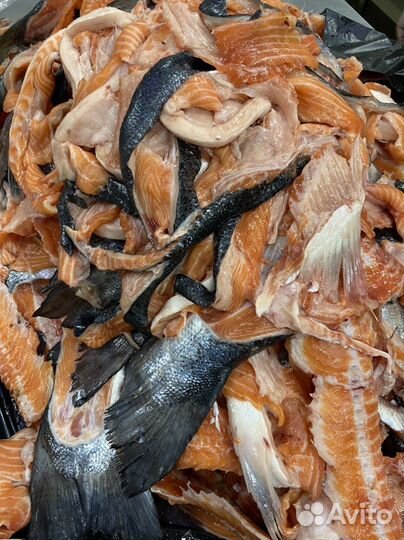 Супоновой набор, лосось