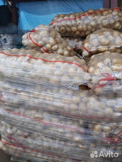 Продукты питания оптом свежие